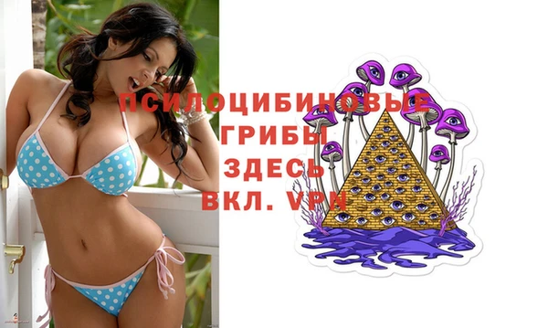 амфетамин Богородск